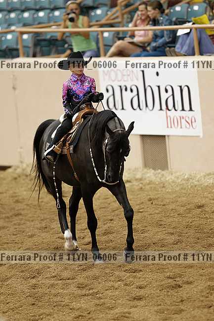 Proof 11yn_06006