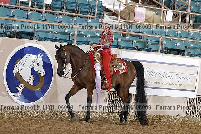 Proof 11yn_06009