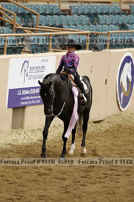 Proof 11yn_06010