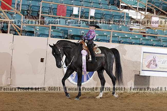 Proof 11yn_06011