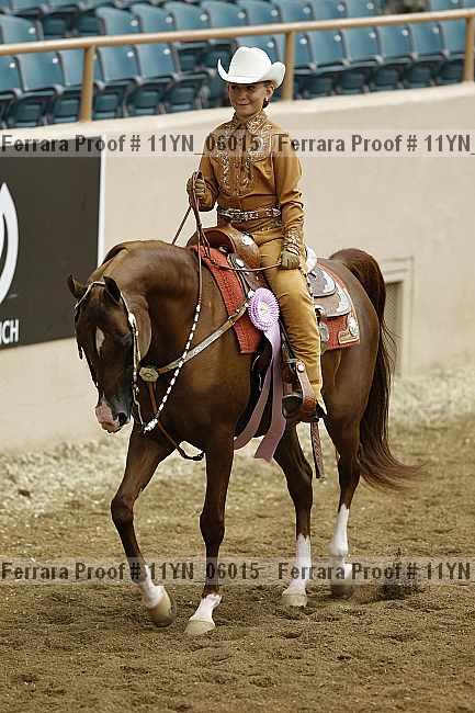 Proof 11yn_06015