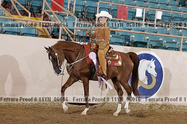 Proof 11yn_06016