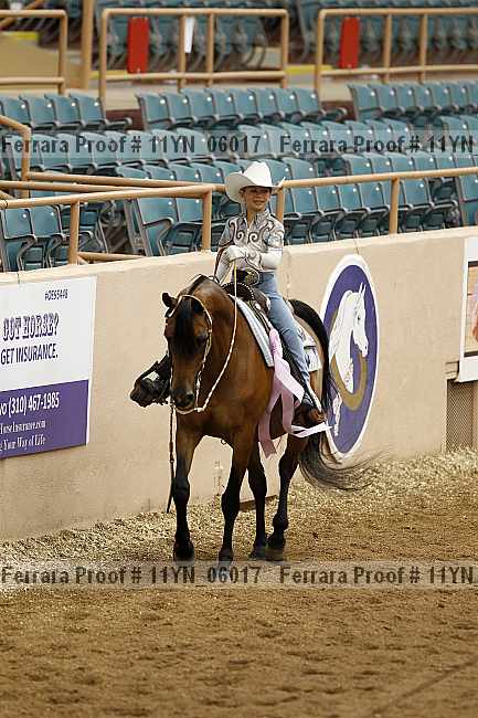 Proof 11yn_06017