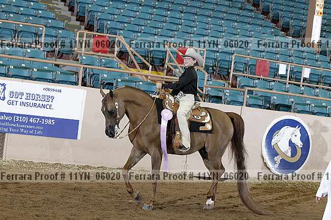 Proof 11yn_06020