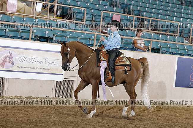 Proof 11yn_06021