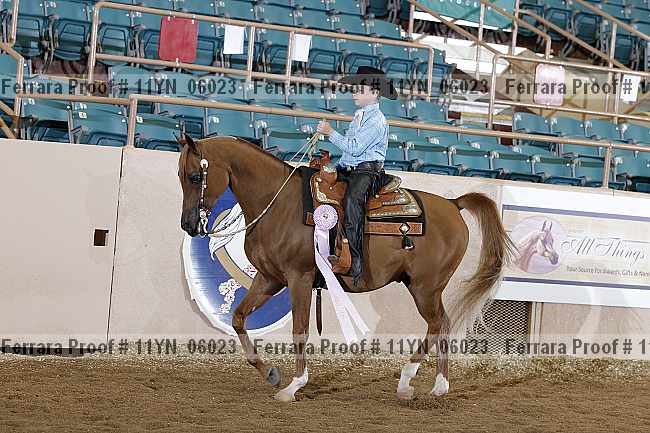 Proof 11yn_06023