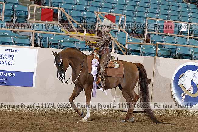 Proof 11yn_06025