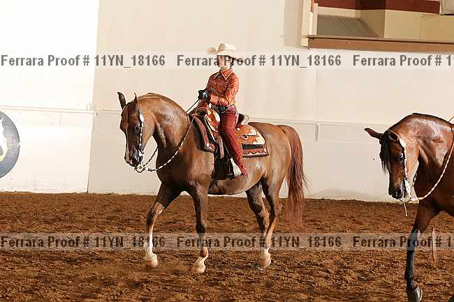 Proof 11yn_18166