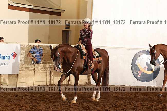 Proof 11yn_18172