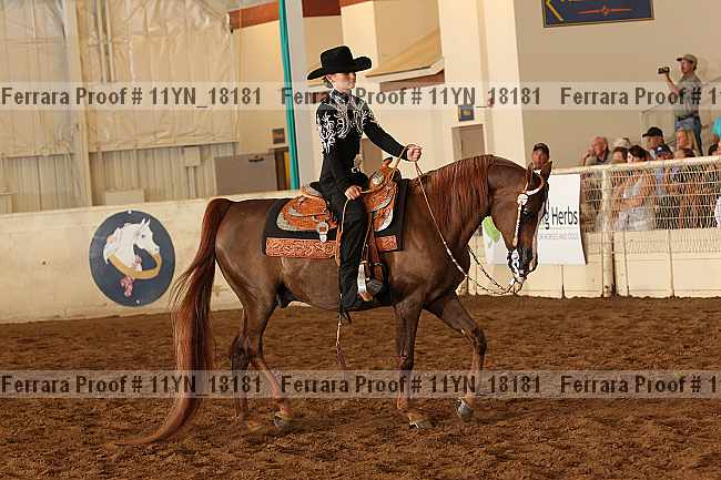 Proof 11yn_18181