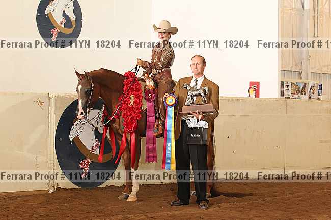 Proof 11yn_18204
