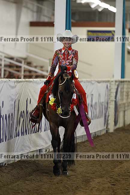 Proof 11yn_18239