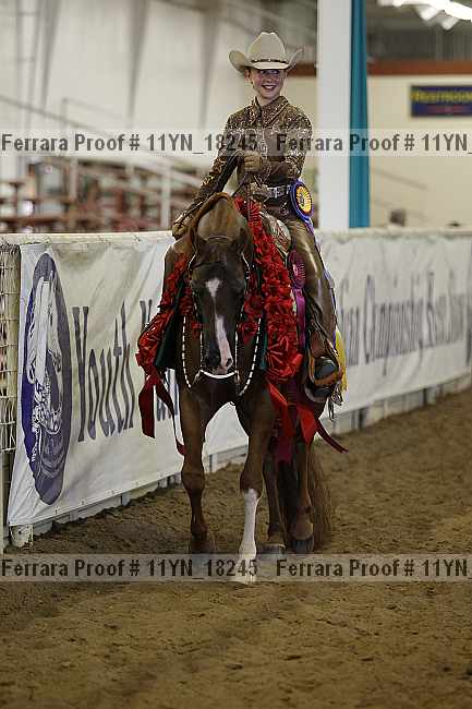Proof 11yn_18245