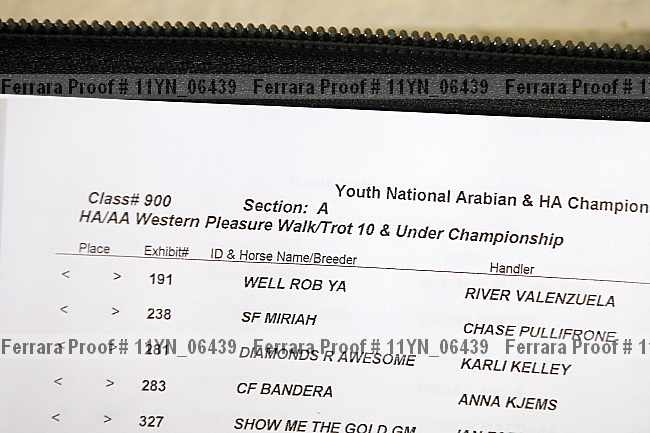 Proof 11yn_06439