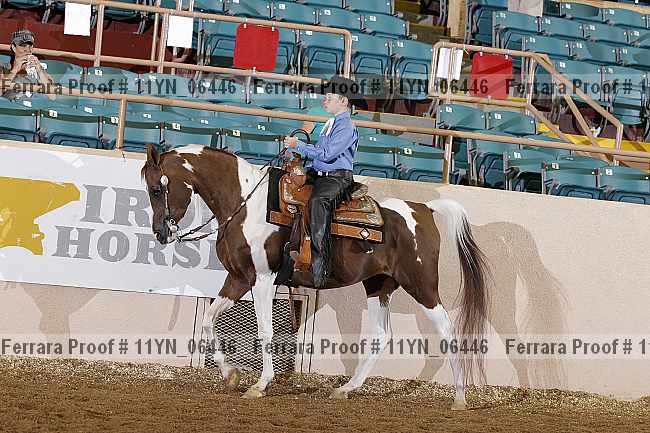 Proof 11yn_06446