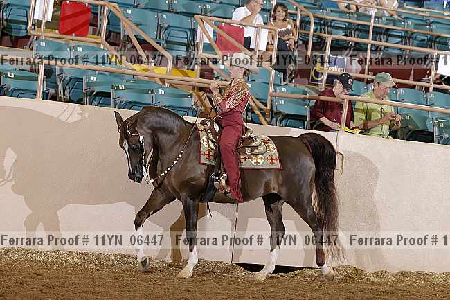 Proof 11yn_06447