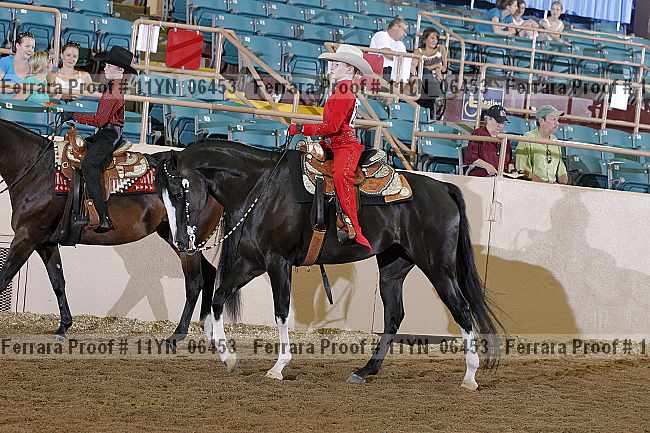 Proof 11yn_06453