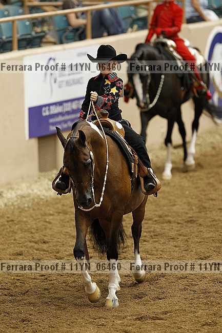 Proof 11yn_06460