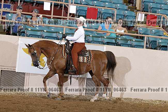 Proof 11yn_06463