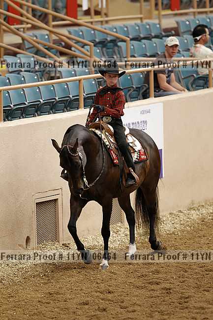 Proof 11yn_06464