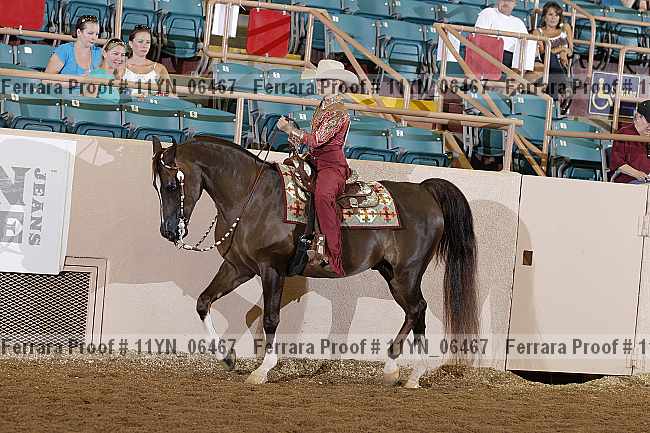 Proof 11yn_06467