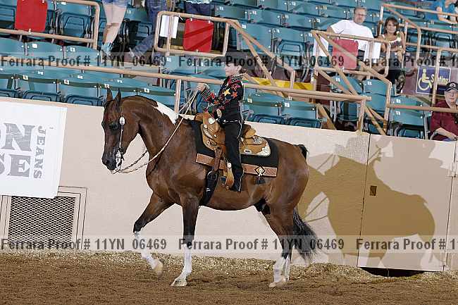 Proof 11yn_06469