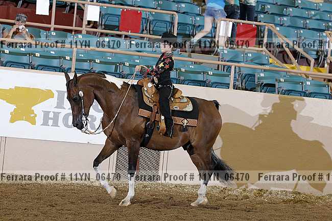 Proof 11yn_06470