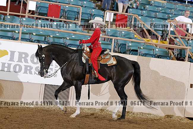 Proof 11yn_06471