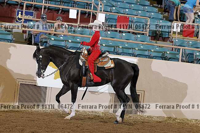 Proof 11yn_06472