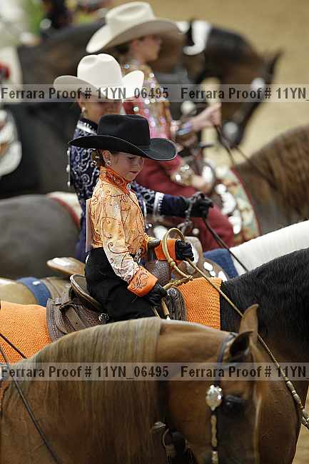 Proof 11yn_06495