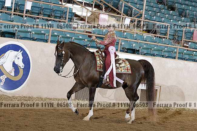 Proof 11yn_06508
