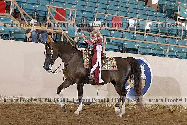 Proof 11yn_06509
