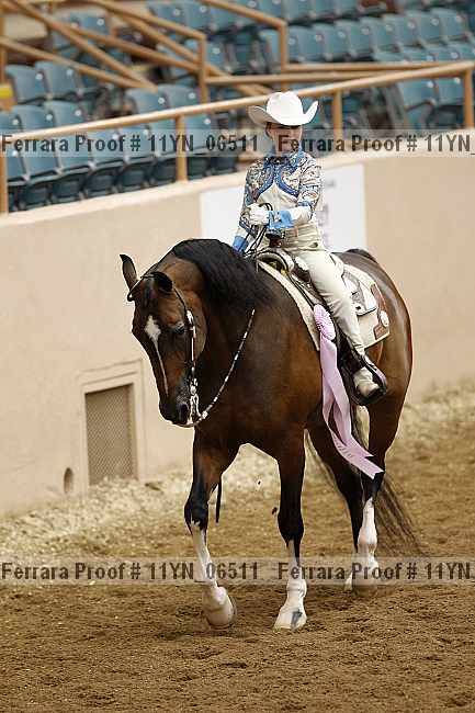 Proof 11yn_06511