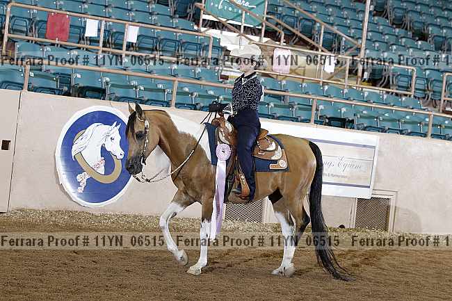 Proof 11yn_06515
