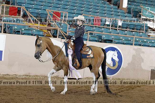 Proof 11yn_06516