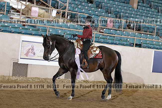 Proof 11yn_06518