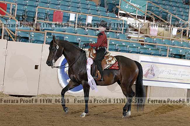 Proof 11yn_06519