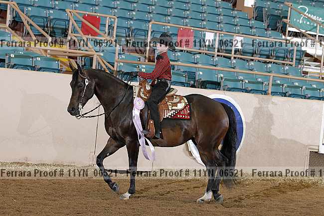 Proof 11yn_06521