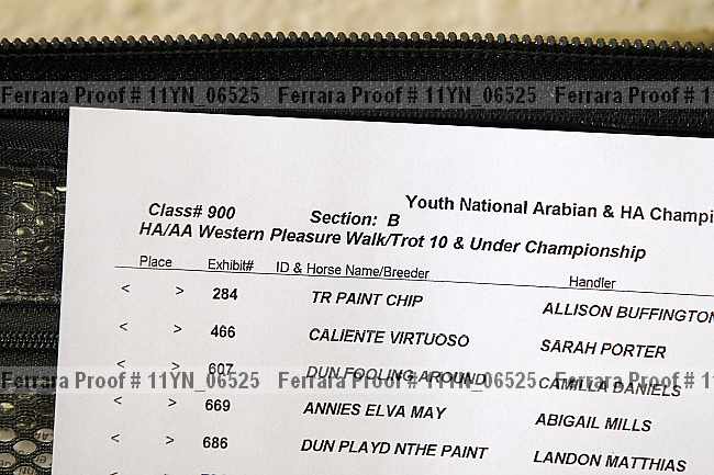 Proof 11yn_06525
