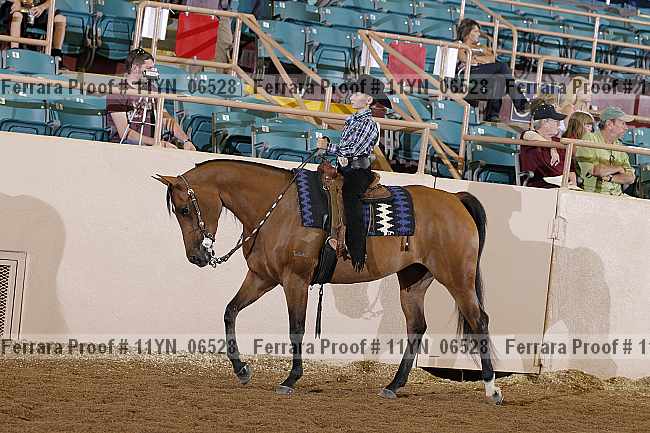 Proof 11yn_06528