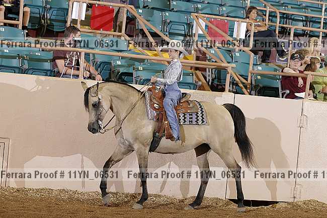 Proof 11yn_06531