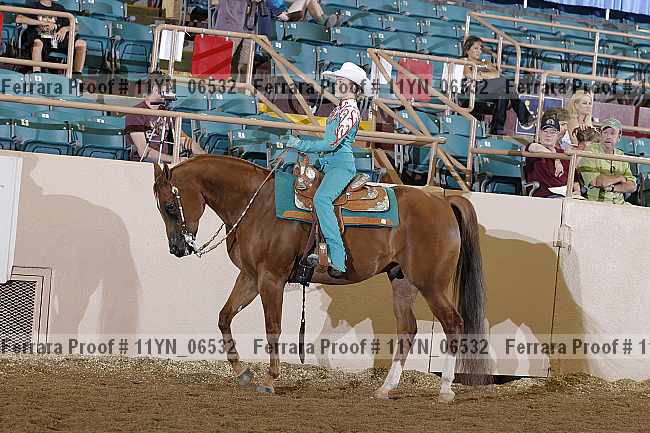 Proof 11yn_06532