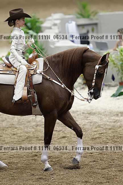 Proof 11yn_06534