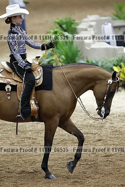 Proof 11yn_06535