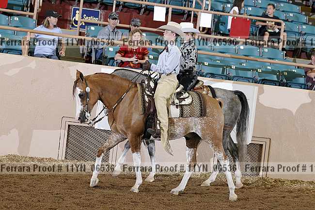 Proof 11yn_06536