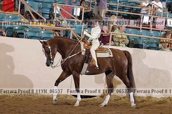 Proof 11yn_06537