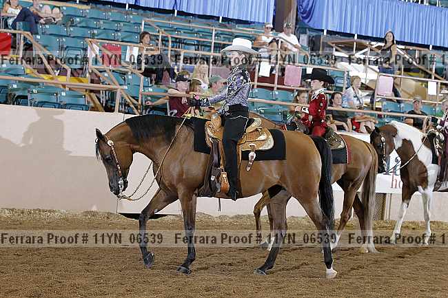 Proof 11yn_06539
