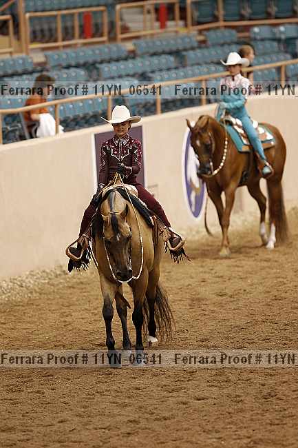 Proof 11yn_06541