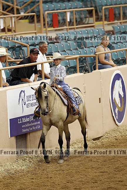 Proof 11yn_06542