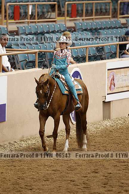 Proof 11yn_06543
